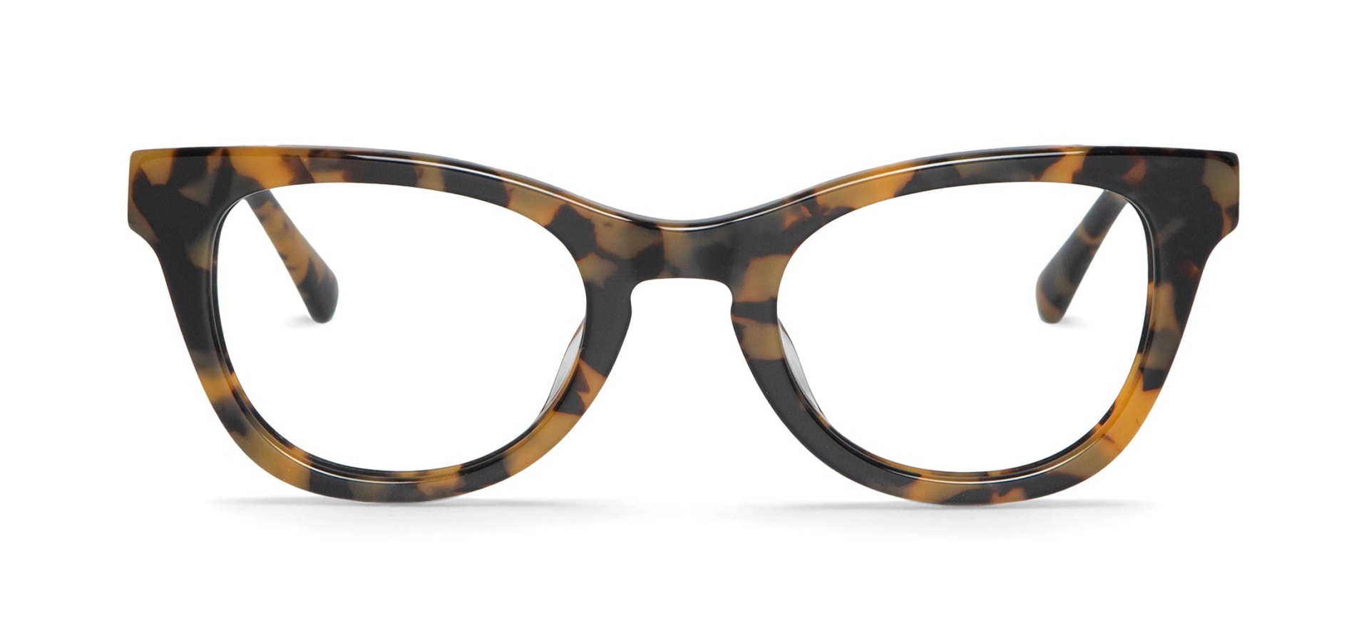 HC TORTOISE ESTELLA - imagen 1