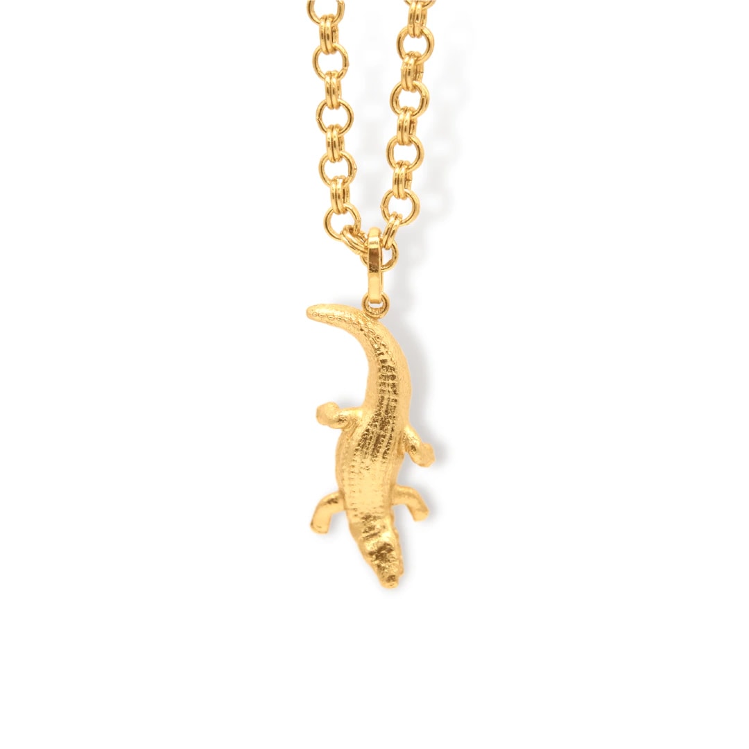 Cadena de cocodrilo - imagen 1